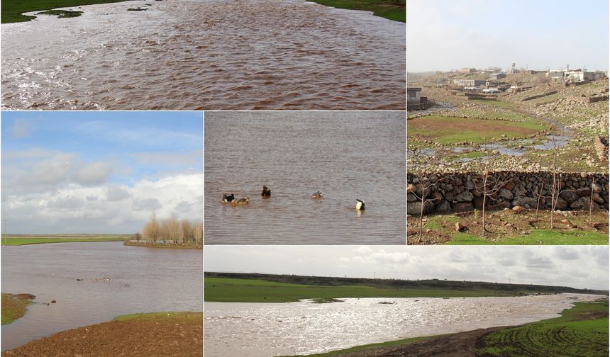 Diyarbakır'da yağışların ardından göletler suya doydu