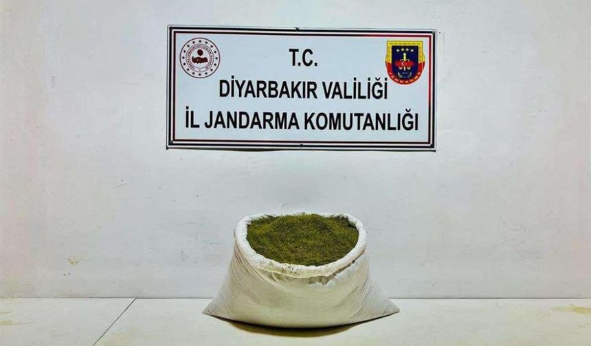 Diyarbakır’da 38,6 kilo esrar ele geçirildi