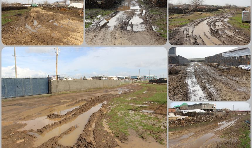 Karacadağ Bölgesindeki mahalle yolları kullanılamaz durumda