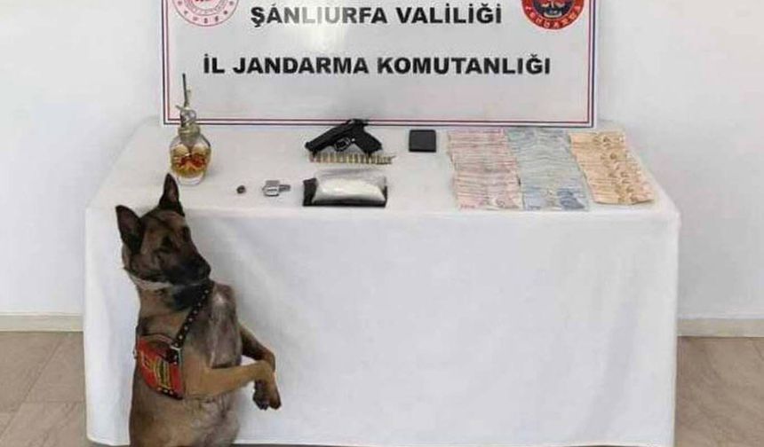 Şanlıurfa’da narkotik madde ve silah ele geçirildi