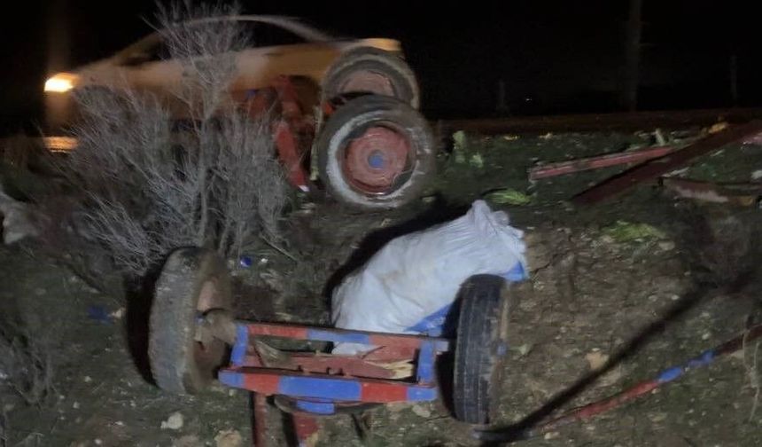 Şanlıurfa’da otomobil at arabasına çarptı: At arabası ikiye bölündü