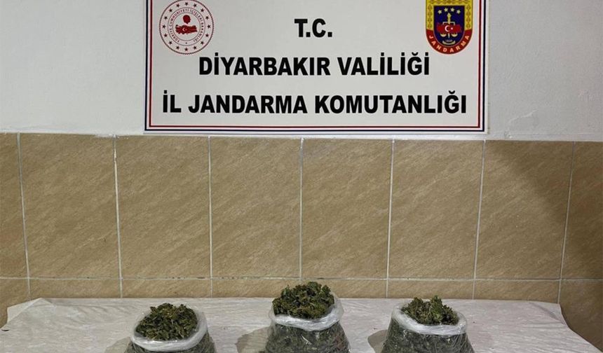Diyarbakır’da narkotik operasyonu: 12 gözaltı