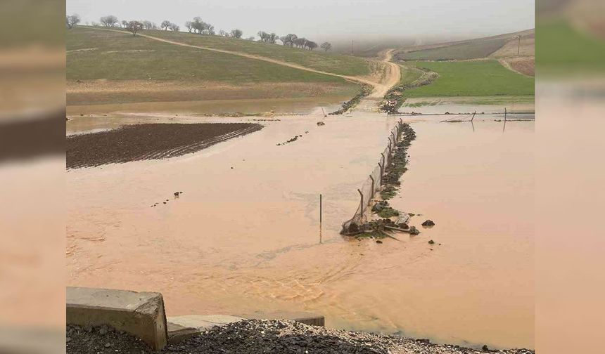Diyarbakır'da sele kapılan onlarca koyun telef oldu