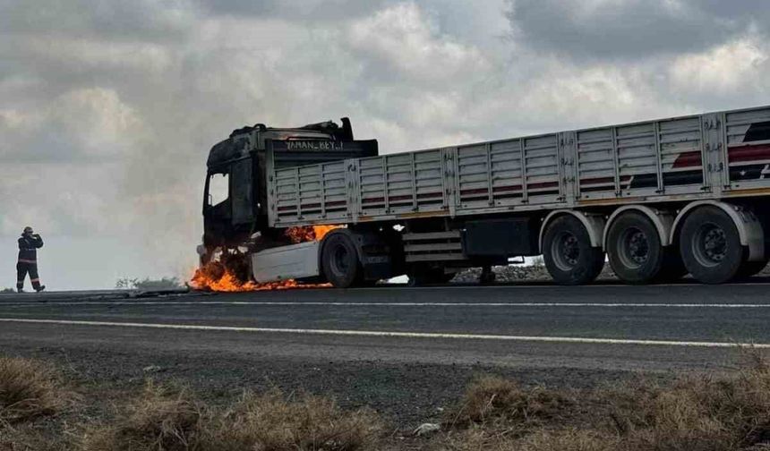 Diyarbakır'da seyir halindeki tır alev aldı