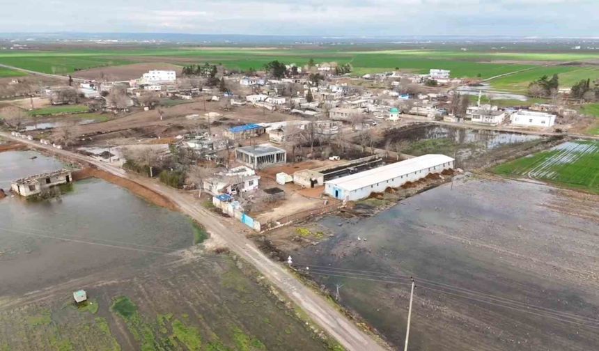 Şanlıurfa'da şiddetli yağışlar tarlaları göle çevirdi
