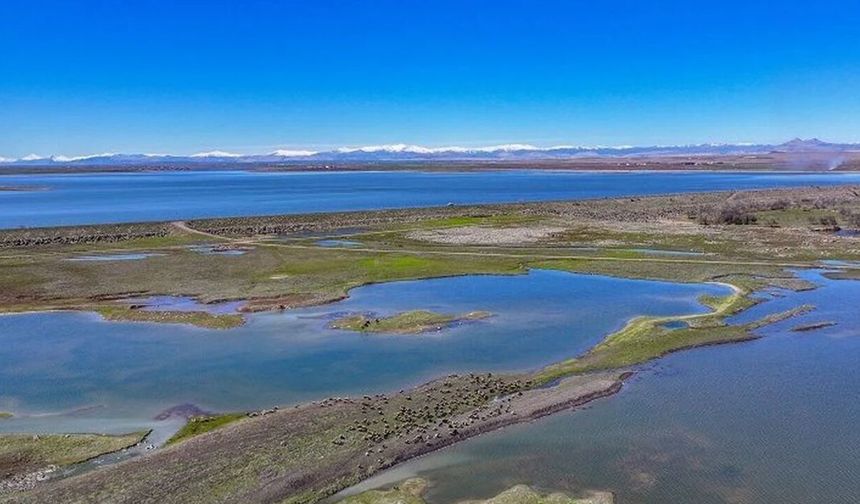 Kuraklık tehlikesi yaşayan Devegeçidi Barajı'nda sevindiren değişim