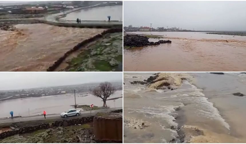 Diyarbakır'da yağmur yağışı dereleri taşırdı