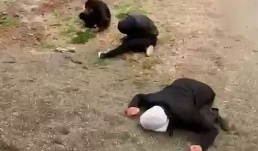 Madde etkisinde kalan 3 şahıs yere yığıldı