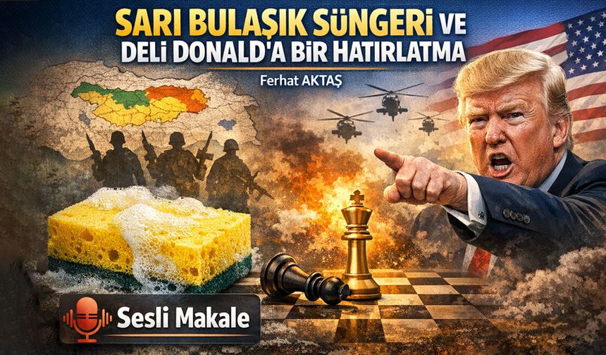 SARI BULAŞIK SÜNGERİ VE DELİ DONALD'A BİR HATIRLATMA