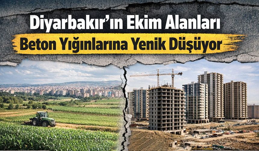 Diyarbakır'da tarım arazileri beton yığınlarına yenik düşüyor