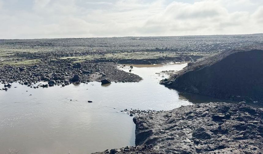 Diyarbakır'da gölet taştı: Tarım arazileri sular altında