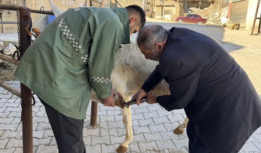 Diyarbakırlı 2 kardeş, 50 yıldır nalbantlık yapıyor