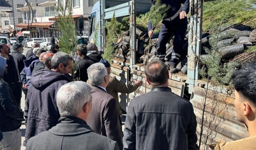 Çermik'te çiftçilere 10 bin adet fidan