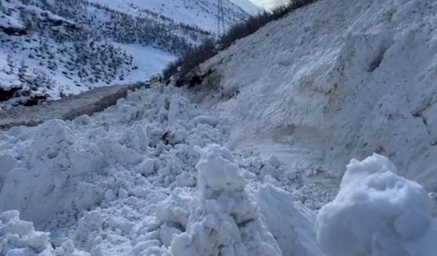 Şırnak–Hakkari yolu çığ sonrası yeniden ulaşıma açıldı