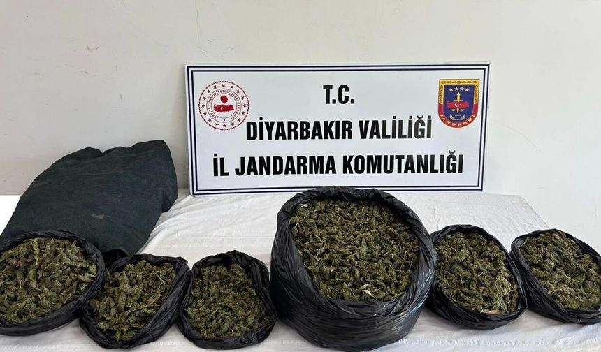 Diyarbakır'da jandarmadan narkotik operasyonları