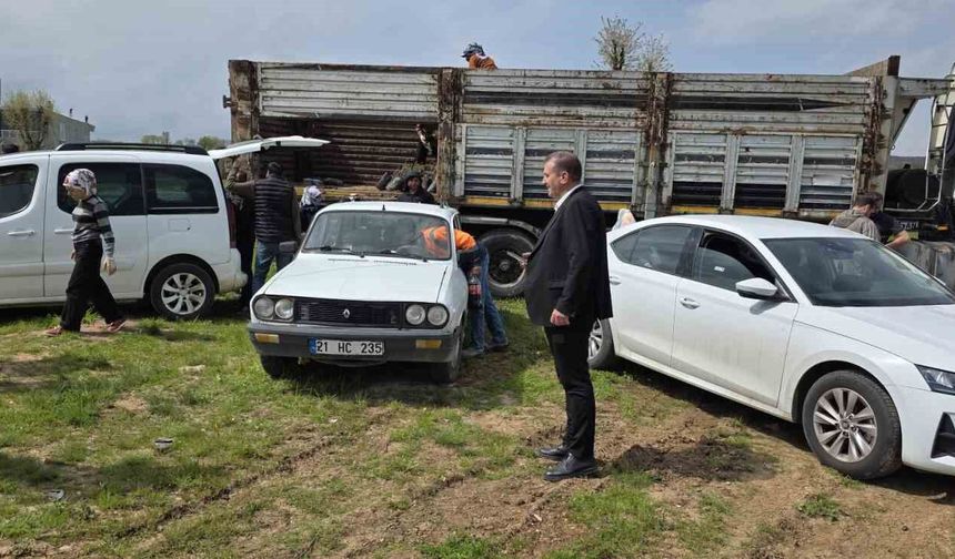 Dicle'de çiftçilere yüzde 100 hibeli fıstık çöğürü dağıtıldı