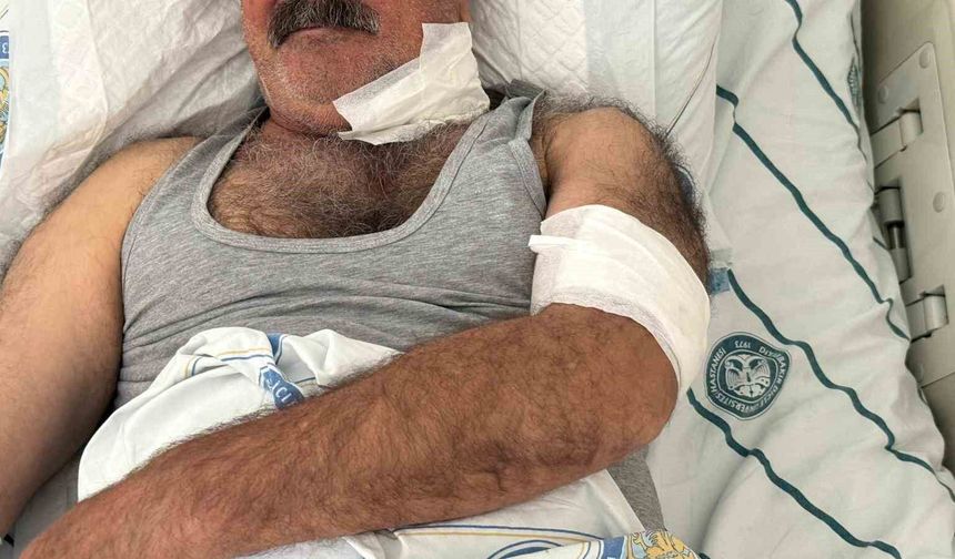 Diyarbakır'da at sahibini boğazından ısırarak ağır yaraladı