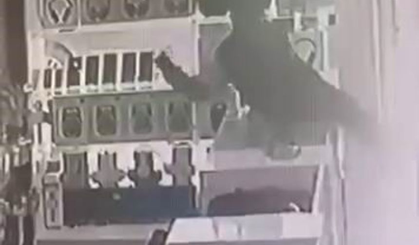 Diyarbakır'da masanın üstüne çıkan çocuk vitrindeki telefonları alarak kaçtı