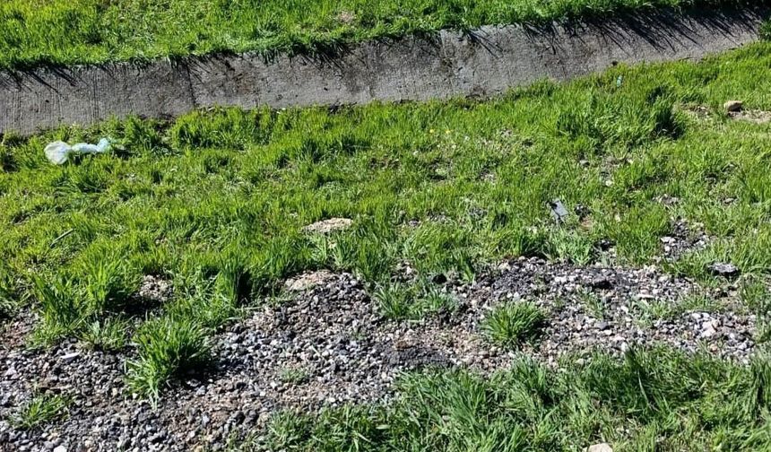 Diyarbakır'da trafik kazası: 1'i ağır 4 yaralı