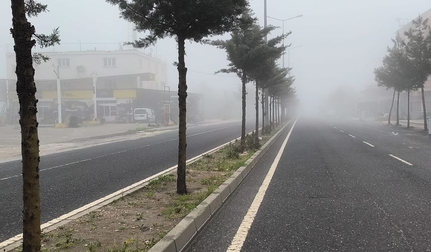 Diyarbakır'ın bazı bölgelerinde sis etkili oldu