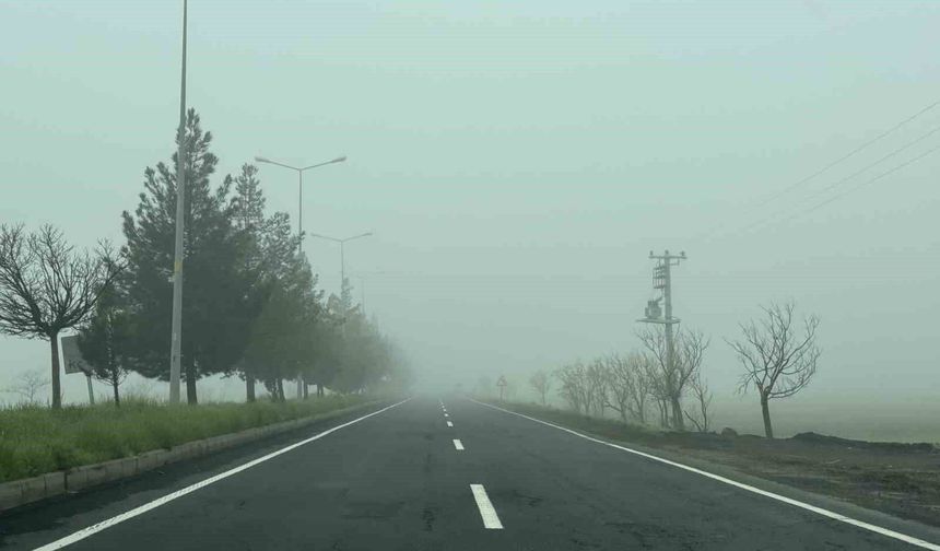 Diyarbakırlılar güne sisle uyandı
