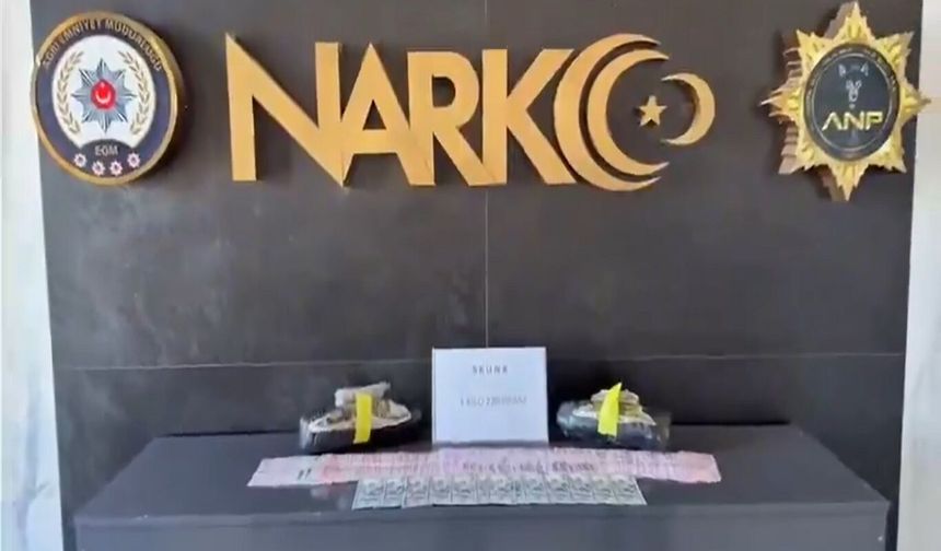 Ağrı'da gerçekleştirilen narkotik operasyonda 1 kişi tutuklandı