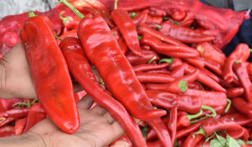 Diyarbakır'da 7 TL’ye alınan biberin markette 200 TL’ye satıldığı tespit edildi