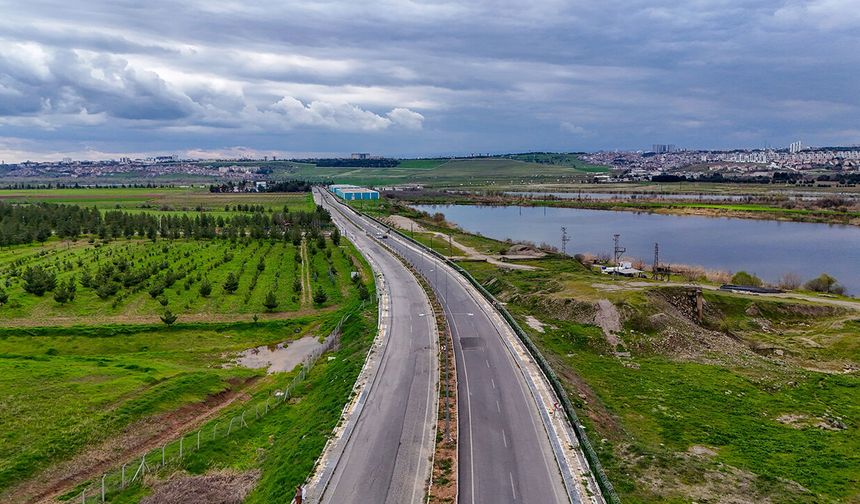 Diyarbakır'da 5 bin ağaç dikildi, 6 bin 930 fidan dağıtıldı