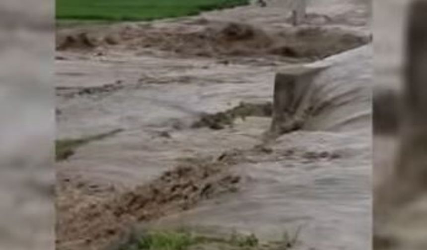 Diyarbakır'da dere taştı, ekinler sular altında kaldı