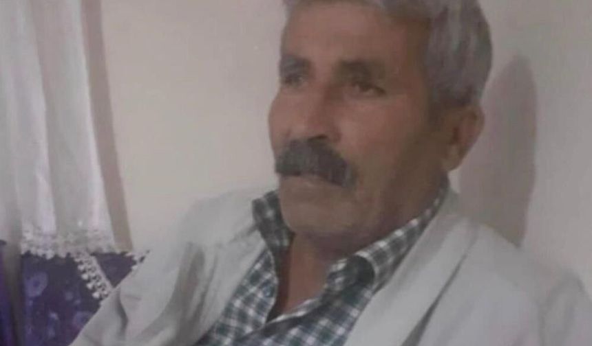 Diyarbakır'da ineğinin peşinden giden kişi, araç çarpması sonucu hayatını kaybetti