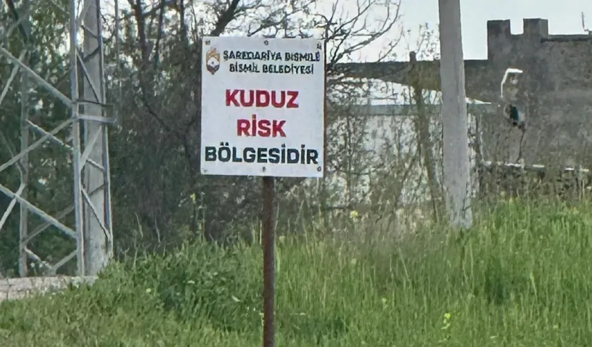 Diyarbakır'da kuduz vakası: "Riskli bölge" ilan edildi