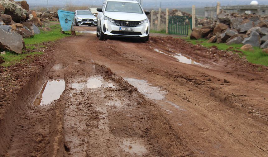 Diyarbakır'da mahalle sakinlerinden yetkililere yol çağrısı