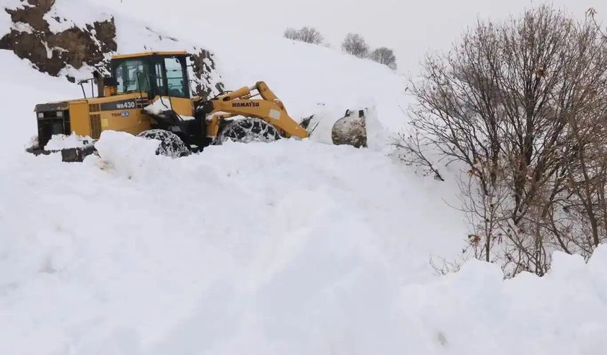 Doğu’da kar etkisini sürdürüyor: 77 yerleşim yerinin yolu kapandı
