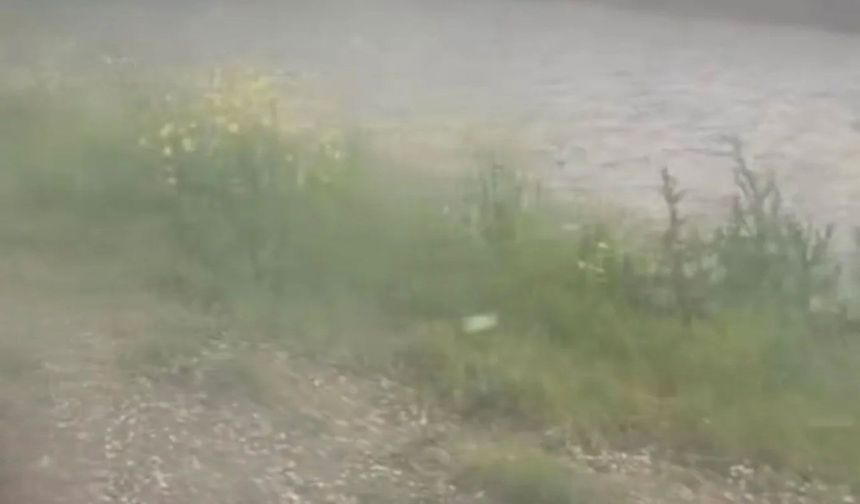 Bir anda bastırdı! Diyarbakır'da yüzlerce dönüm tarla yerle bir oldu