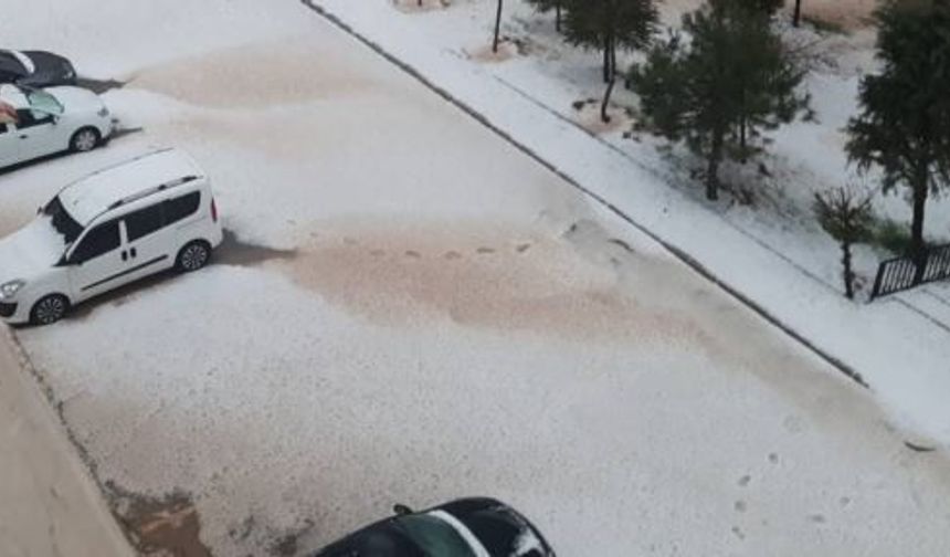 Elazığ’da ceviz büyüklüğünde dolu şaşkınlığı