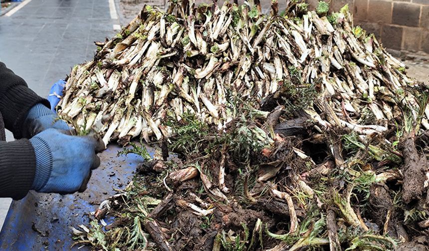 Diyarbakır'ın bahar lezzeti kengerin fiyatı şoke etti