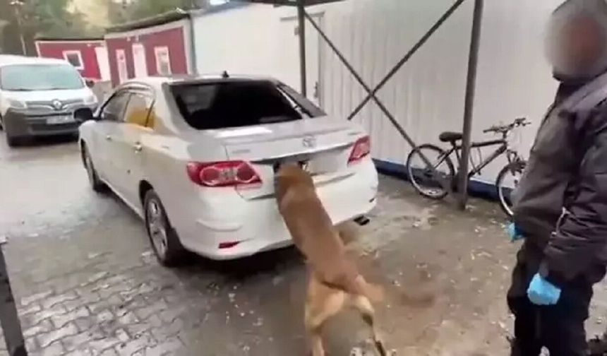 Diyarbakır'da 6 kilo kokain ele geçirildi