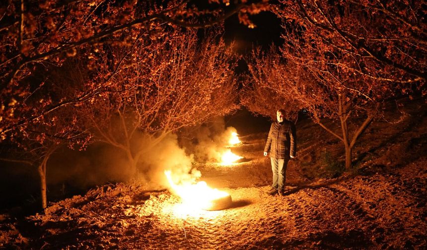 Malatya'da zirai don alarmı: Çiftçiler ateşle önlem aldı