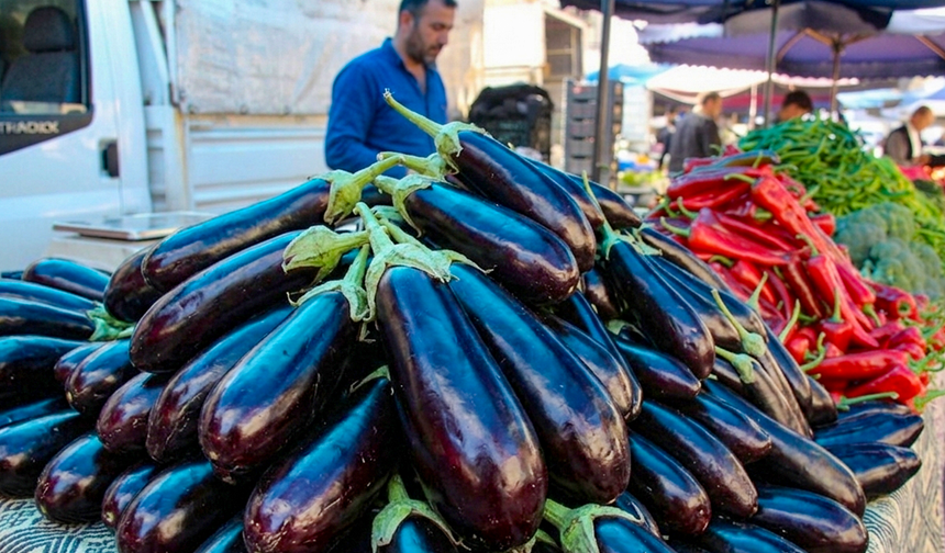 Diyarbakır'da patlıcan fiyatları çakıldı: 300 TL'den 40 TL'ye düştü