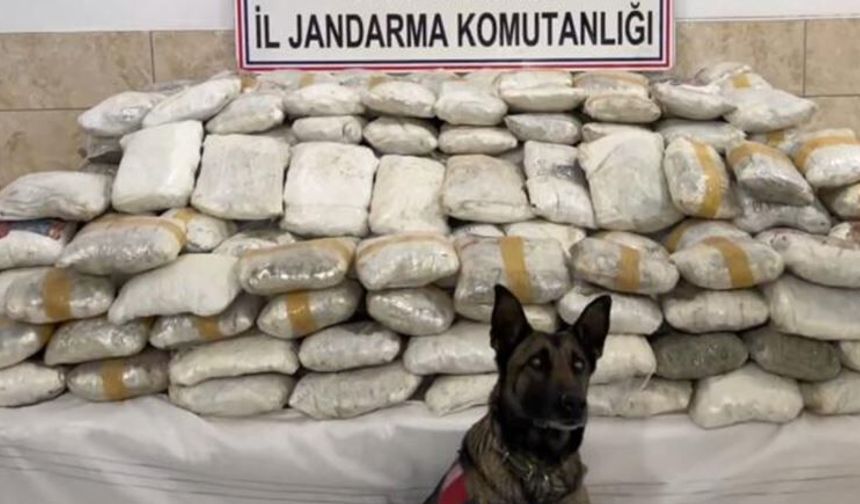 Van ve Hakkari’de narkotik operasyon: 446 kilo ele geçirildi