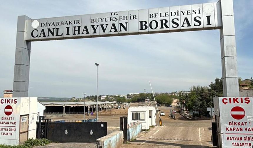 Diyarbakır Canlı Hayvan Borsası tadilata alındı