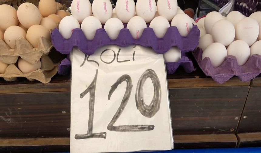 Diyarbakır pazarlarında yumurta fiyatları sert düştü