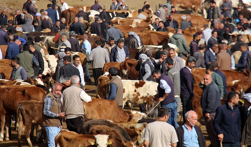 Kurban kesimi için Diyarbakır'da hangi noktalar belirlendi?
