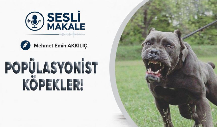 POPÜLASYONİST KÖPEKLER!