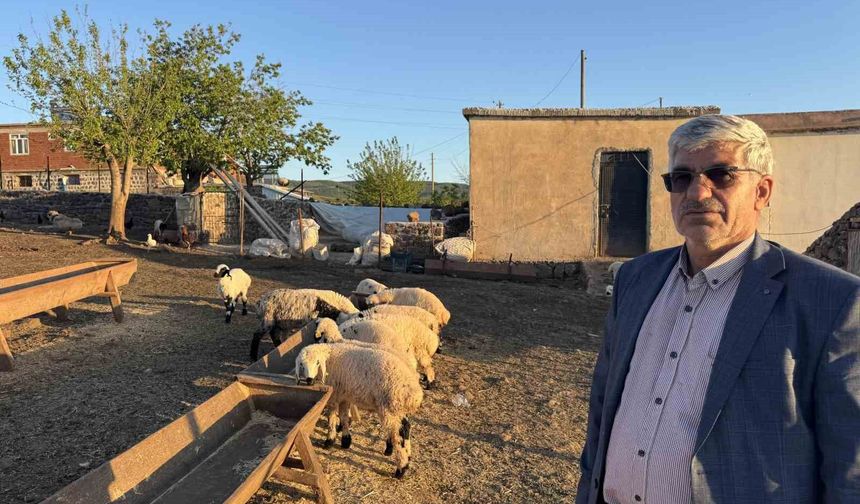 Diyarbakır'da göçerlerin zorlu yolculuğu başladı