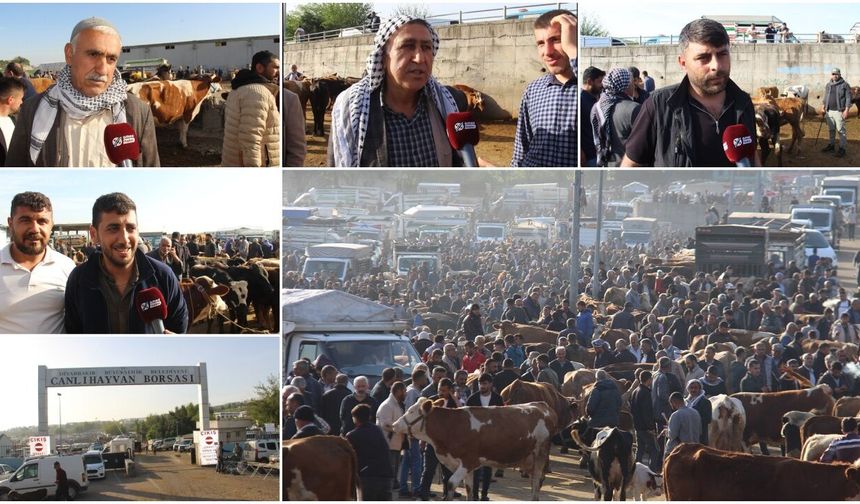 Diyarbakır Hayvan Pazarında esnaf tepkili: Girişten çıkışa kadar her şey sıkıntı!