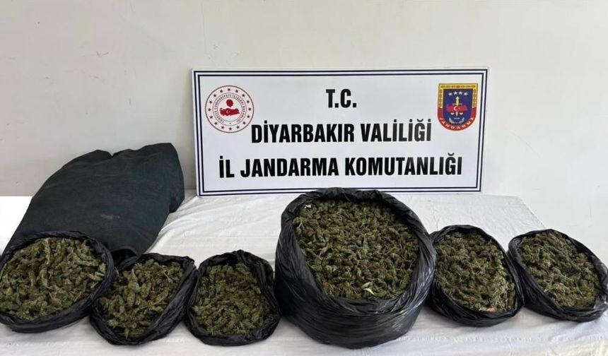 Diyarbakır'da operasyon: 20 kilo skunk ele geçirildi