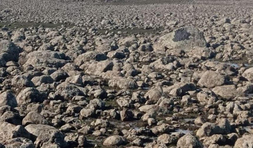 Diyarbakır'da sahte çiftçi vurgunu: 22 kişi Ağır Ceza Mahkemesi'nde