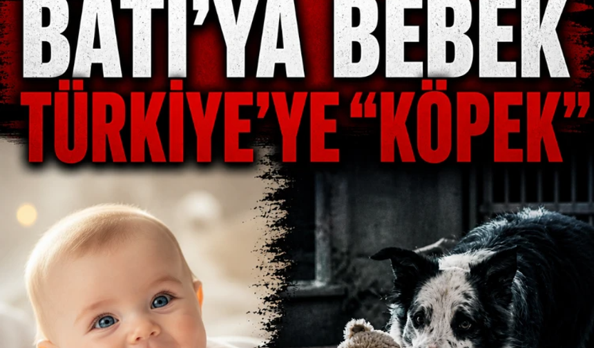 Bosh ve BBC.. Batı'ya bebek, Türkiye'ye ''köpek''
