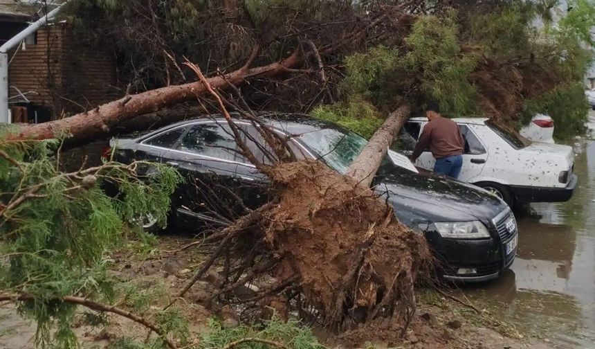 2 ile afet desteği: 150 milyon TL kaynak aktarıldı
